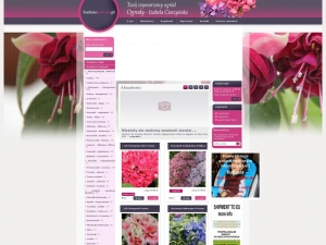 Sklep internetowy, w którym kupić można najpiękniejsze kwiaty